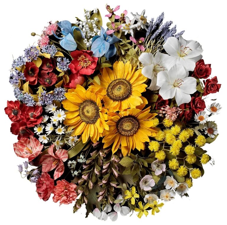clearbackground copy.jpg 768x762
