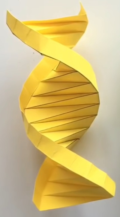 DNA from YouTube Tutorial Wirral Repair Cafe